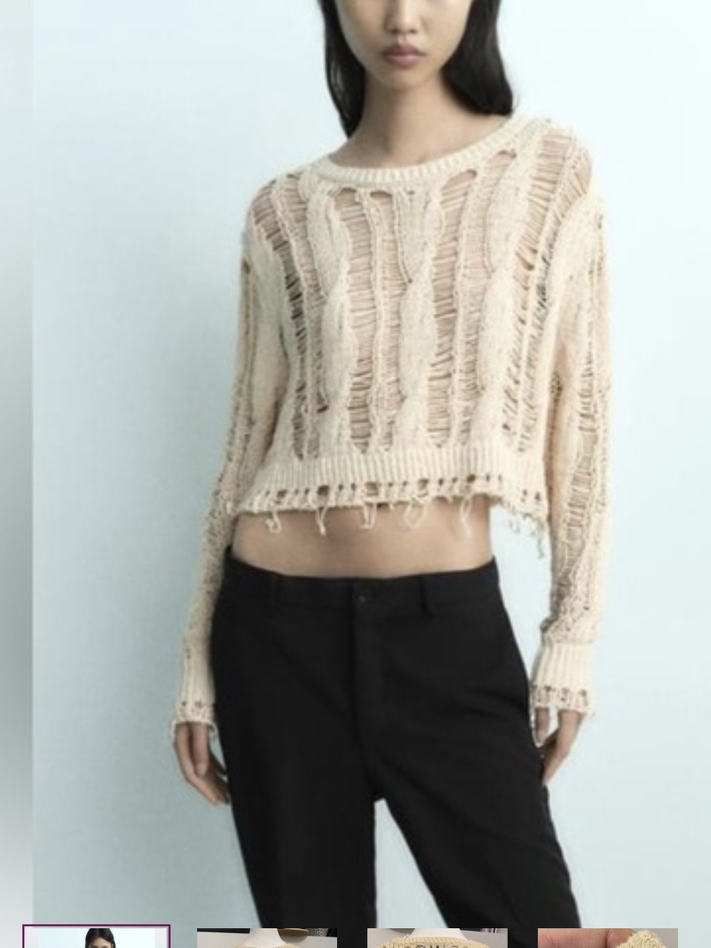 Zara Beige Distressed Open-Knit Crew Neck Sweater
